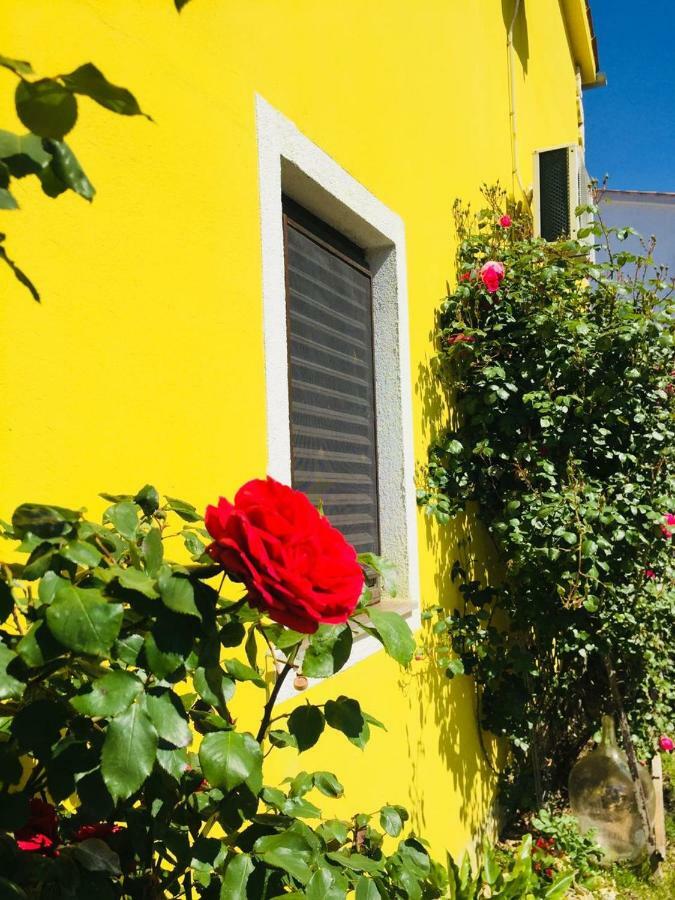 Apartment Josipa Premantura Εξωτερικό φωτογραφία